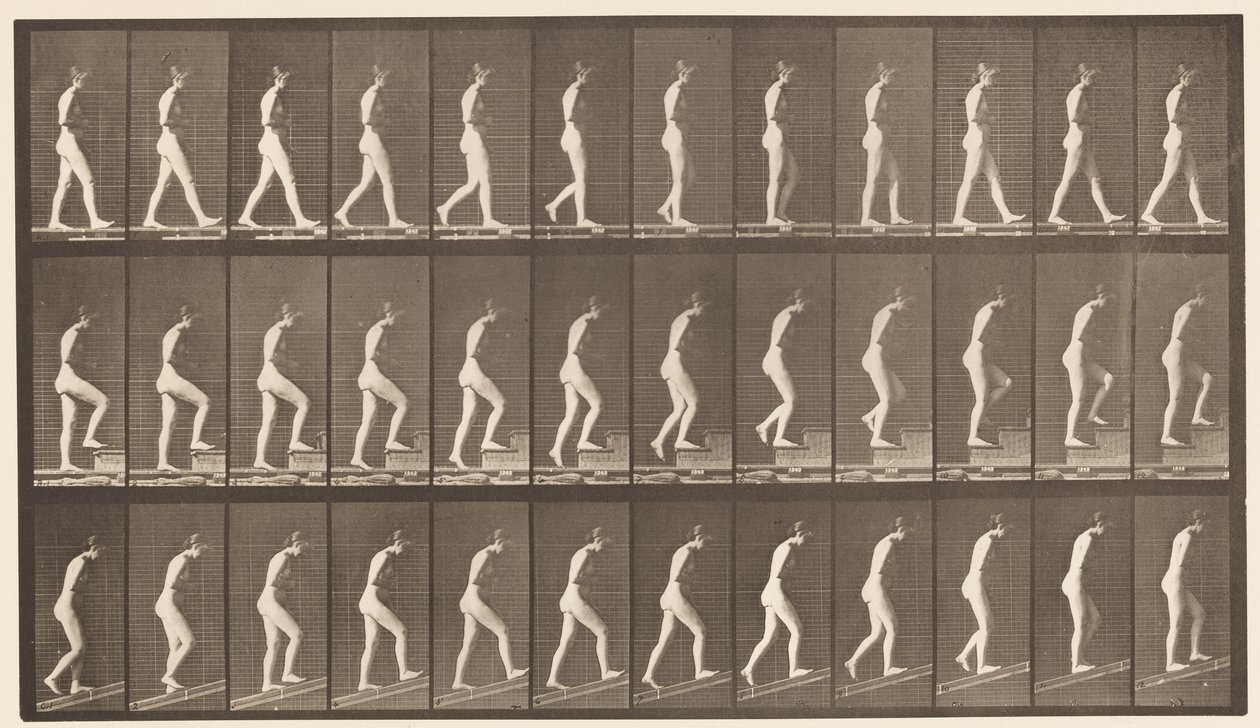 Płyta 482. A, Chodzenie; B, schody wznoszące; C, rosnąco, 1872-1885 autorstwa Eadweard Muybridge