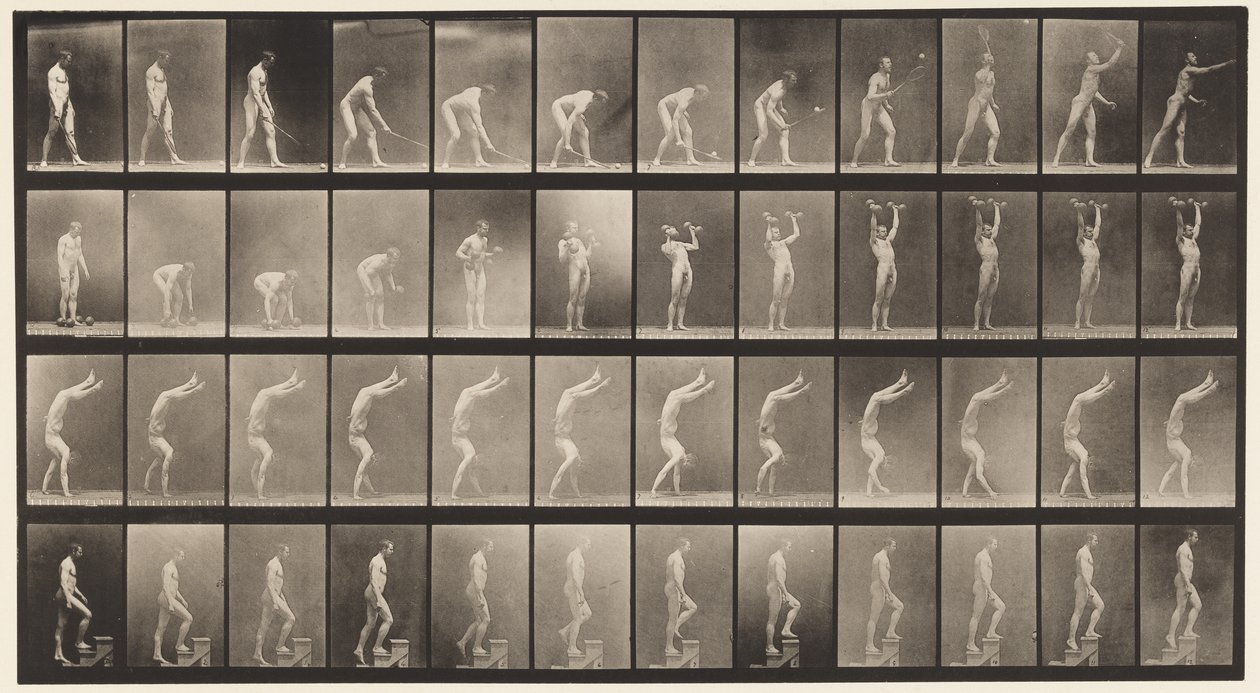 Tablica 488. A, Tenis na trawniku; B, głupie dzwony; C, Chodzenie na rękach;, 1872-1885 autorstwa Eadweard Muybridge