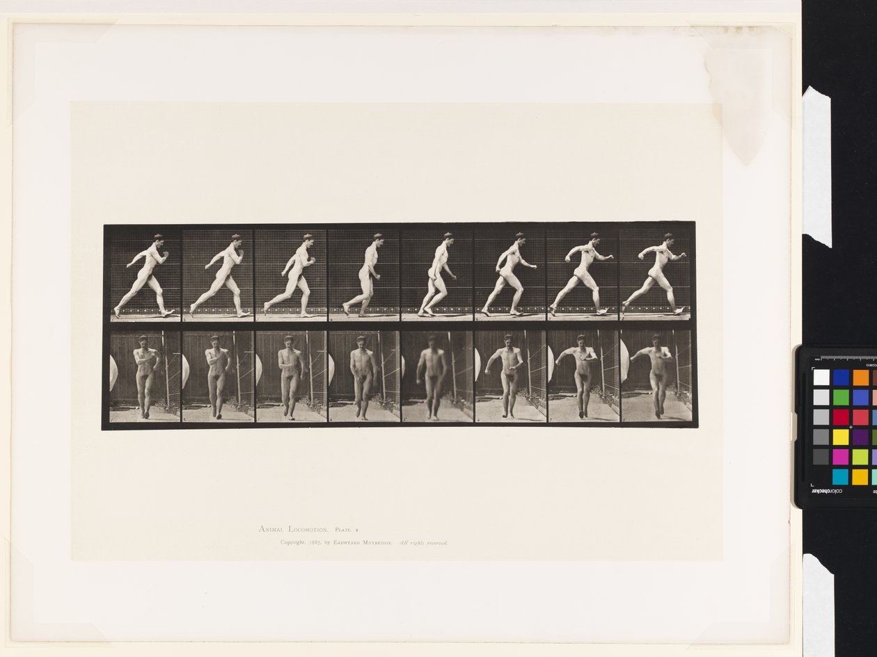 Płyta 4. Chodzenie autorstwa Eadweard Muybridge