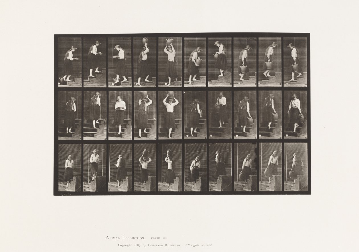 Płyta 504. Schody wstępujące i zstępujące autorstwa Eadweard Muybridge