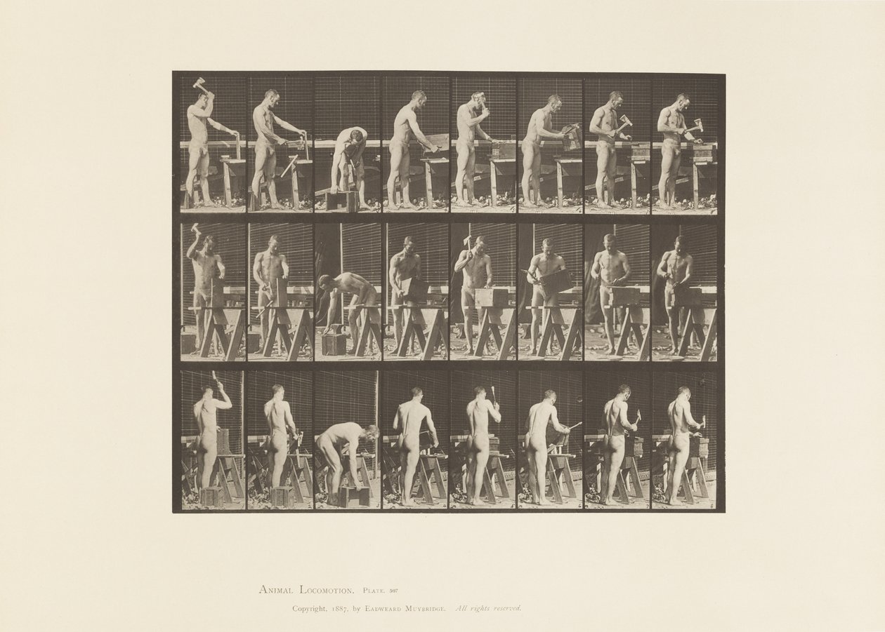 Płyta 507. Stolarstwo autorstwa Eadweard Muybridge