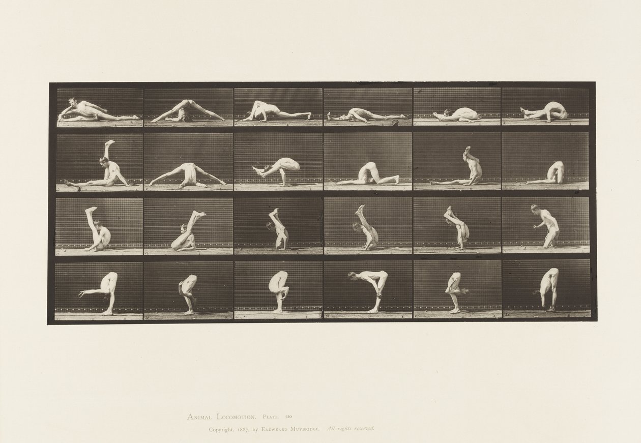 Tablica 510. Wykrzywienia na ziemi, 1872-1885 autorstwa Eadweard Muybridge