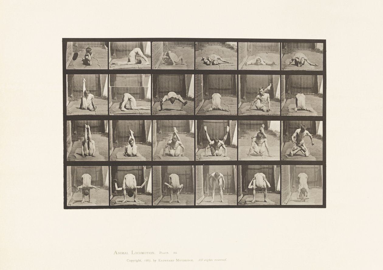 Płyta 511. Wykrzywienia na ziemi autorstwa Eadweard Muybridge