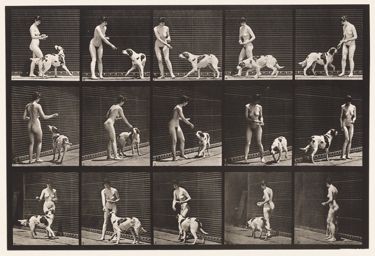 Talerz 514. Karmienie psa autorstwa Eadweard Muybridge