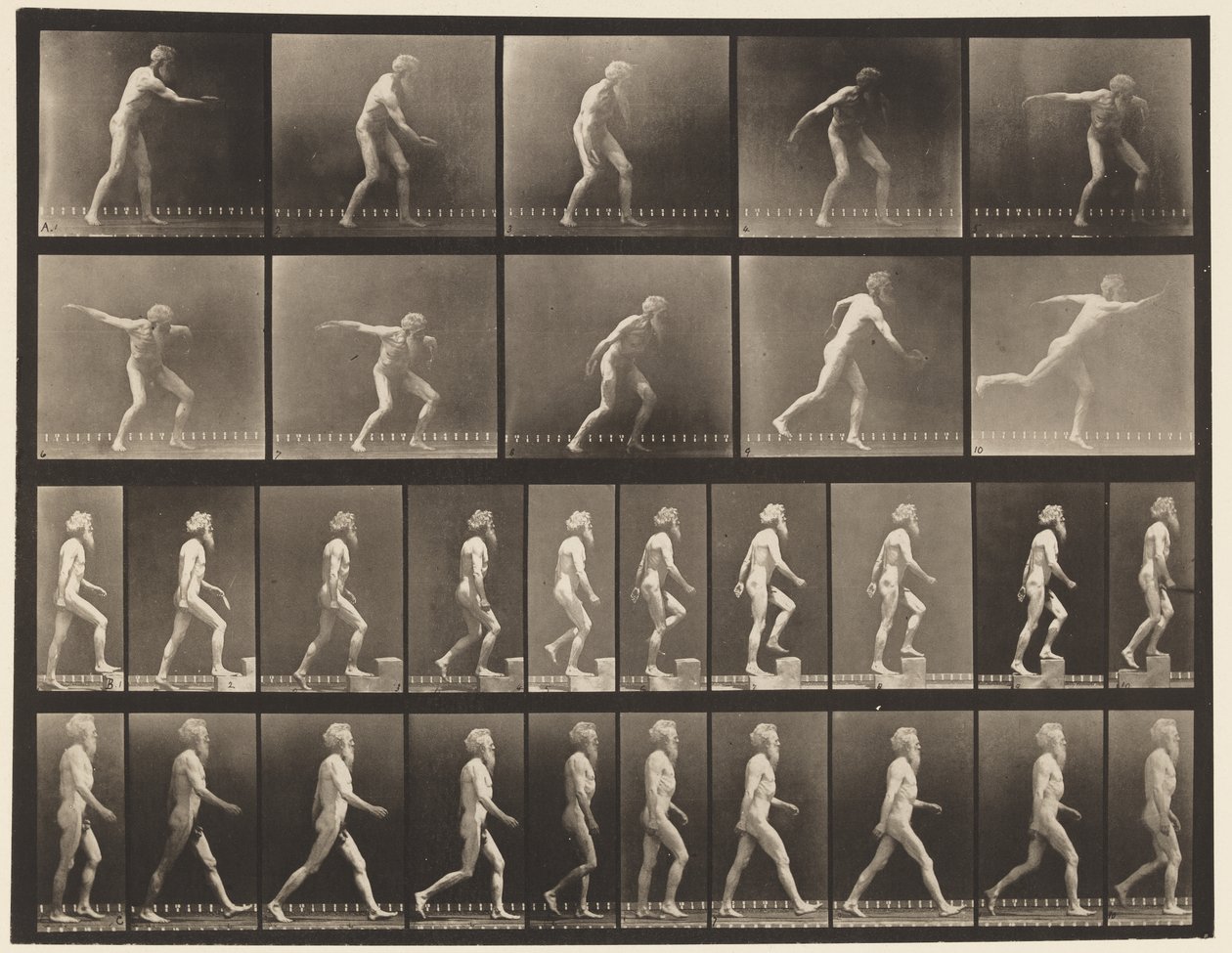 Płyta 519. A, Dysk do rzucania; B, Kroki wznoszące; C, Chodzenie., 1872-1885 autorstwa Eadweard Muybridge