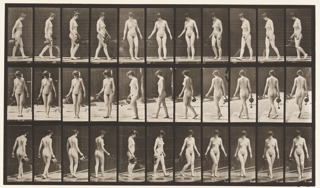 Płyta 51. Chodzenie i odwracanie się, używanie garnka do krojenia, 1872-1885 autorstwa Eadweard Muybridge