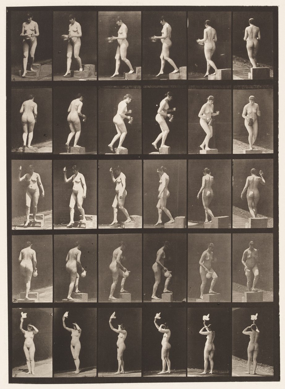Płyta 525. A, stopień opadający; B, stopień wstępujący;, 1872-1885 autorstwa Eadweard Muybridge