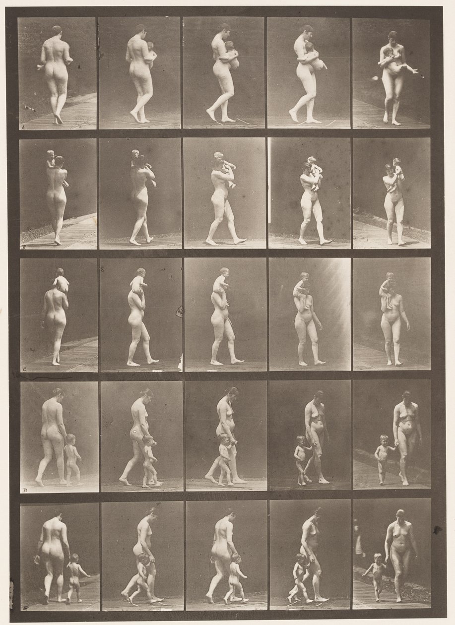 Płyta 528. A,B,C autorstwa Eadweard Muybridge