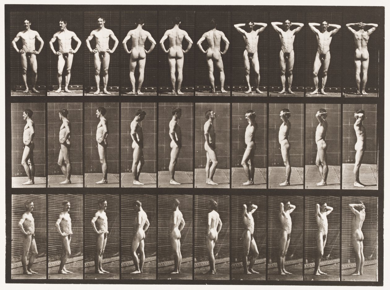 Talerz 530. Różne pozy autorstwa Eadweard Muybridge