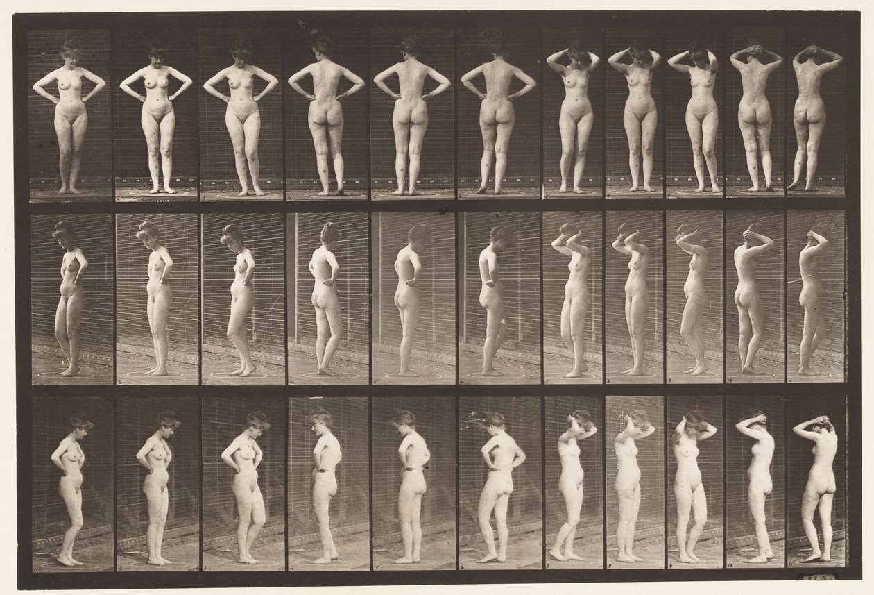 Płyta 531. Różne pozy autorstwa Eadweard Muybridge