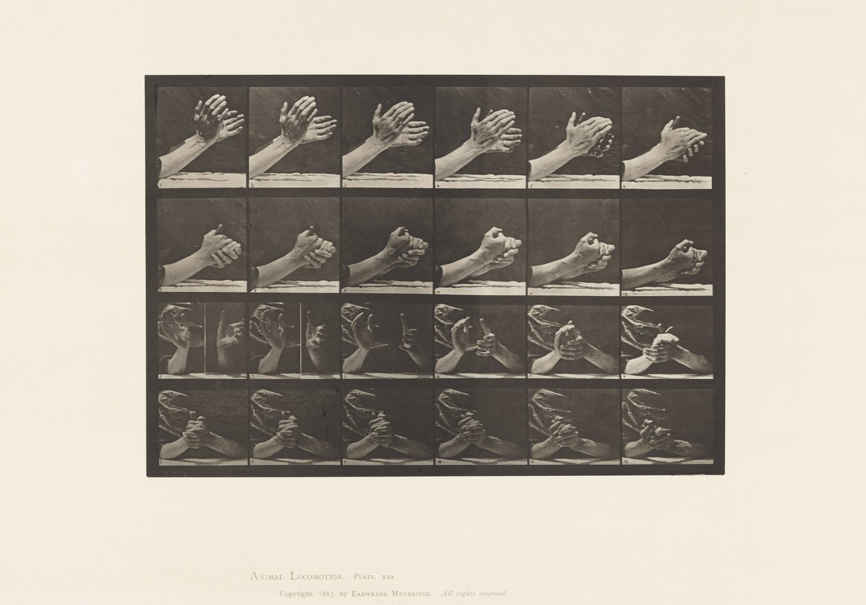 Płyta 533.Ruch ręki; Splatanie się za ręce, 1885 autorstwa Eadweard Muybridge