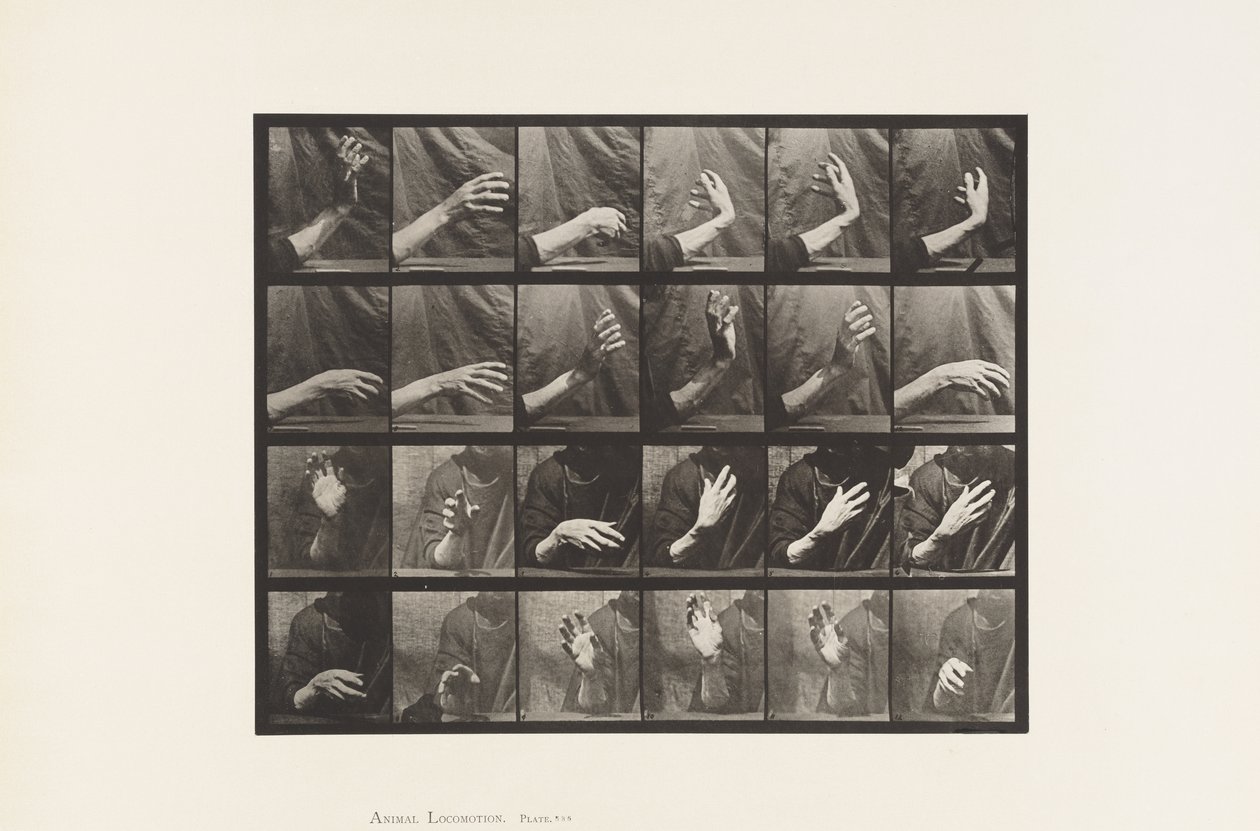 Płyta 535. Ruch ręki; Czas bicia, 1885 autorstwa Eadweard Muybridge