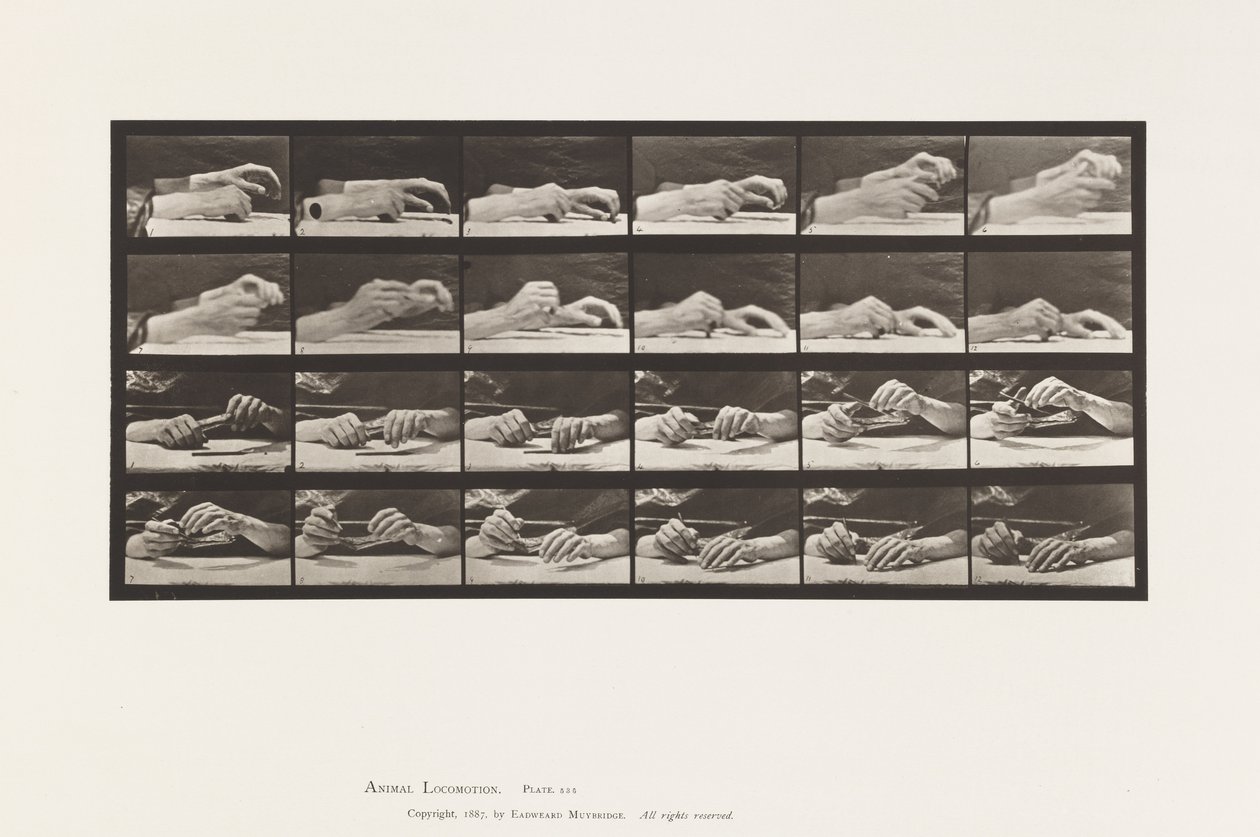 Płyta 536. Ruch ręki; Ręce zmieniające ołówek autorstwa Eadweard Muybridge
