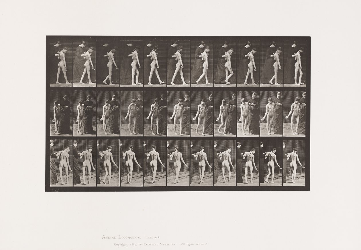 Tabliczka 541. Rozsiane stwardnienie mózgowo-rdzeniowe (pląsawicowe); Pieszy autorstwa Eadweard Muybridge