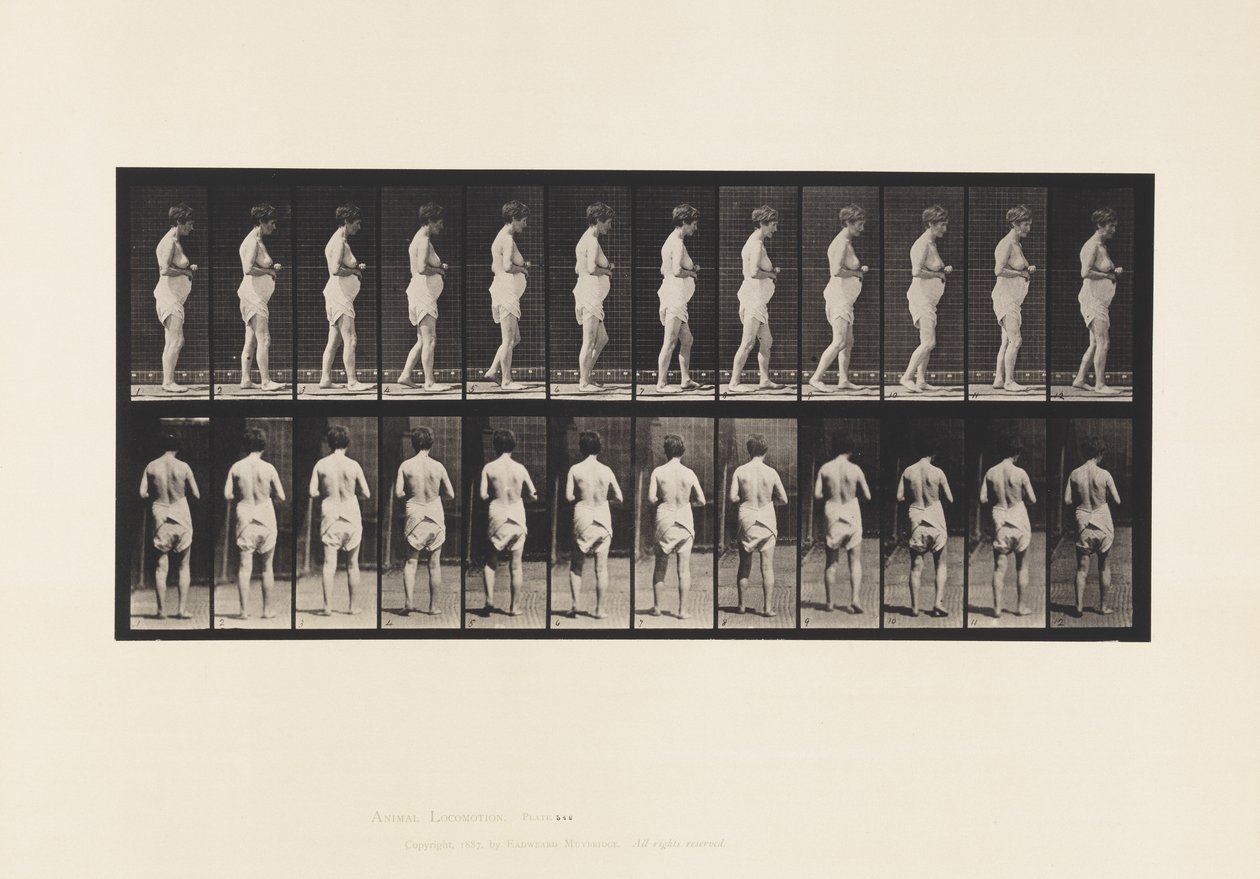 Tabliczka 542. Rozsiane stwardnienie mózgowo-rdzeniowe - chodzenie autorstwa Eadweard Muybridge