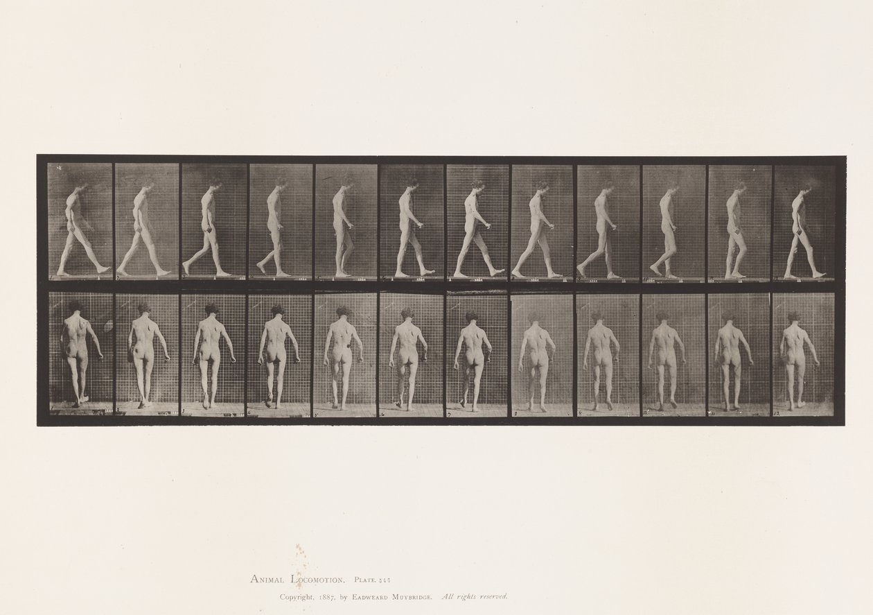 Tabliczka 546. Ataksja lokomotoryczna; Spacer, 1885 autorstwa Eadweard Muybridge