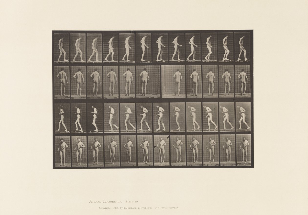 Tabliczka 548. Stwardnienie boczne; A,B, Chodzenie, 1885 autorstwa Eadweard Muybridge