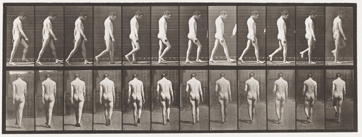 Tabliczka 549.Padaczka; Spacer, 1885 autorstwa Eadweard Muybridge