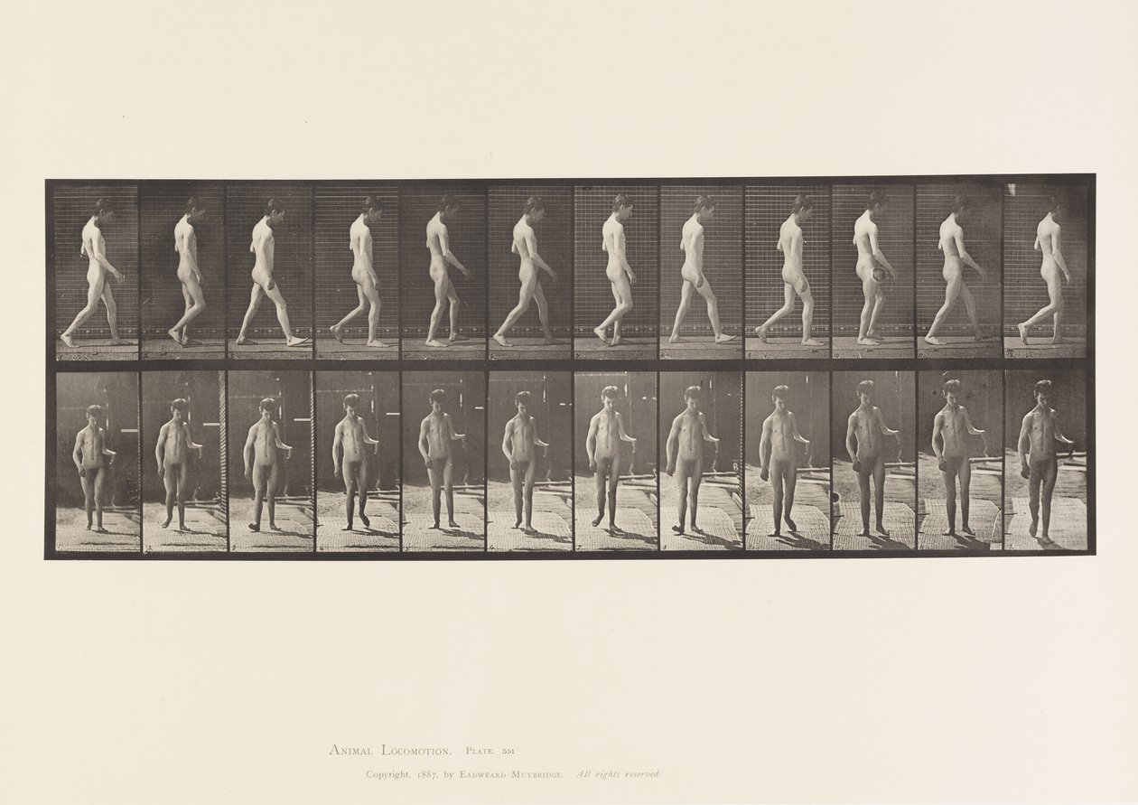 Tabliczka 551. Padaczka; Spacer, 1885 autorstwa Eadweard Muybridge