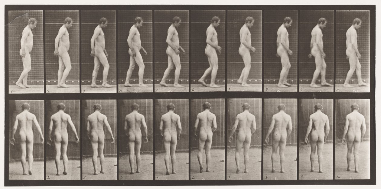 Tabliczka 553.Po urazie głowy; Spacer, 1885 autorstwa Eadweard Muybridge
