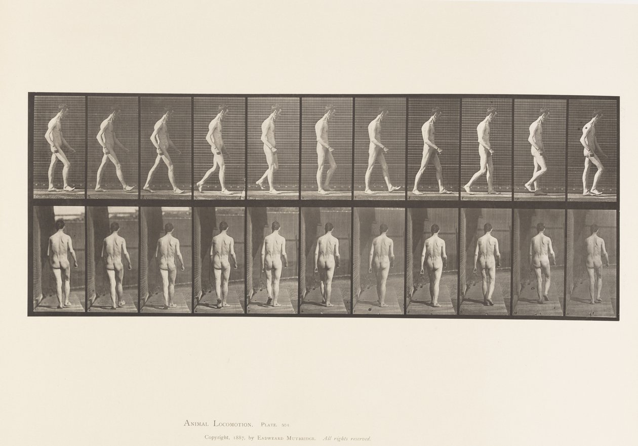 Płytka 554. Ataksja lokomotoryczna; Spacer, 1885 autorstwa Eadweard Muybridge