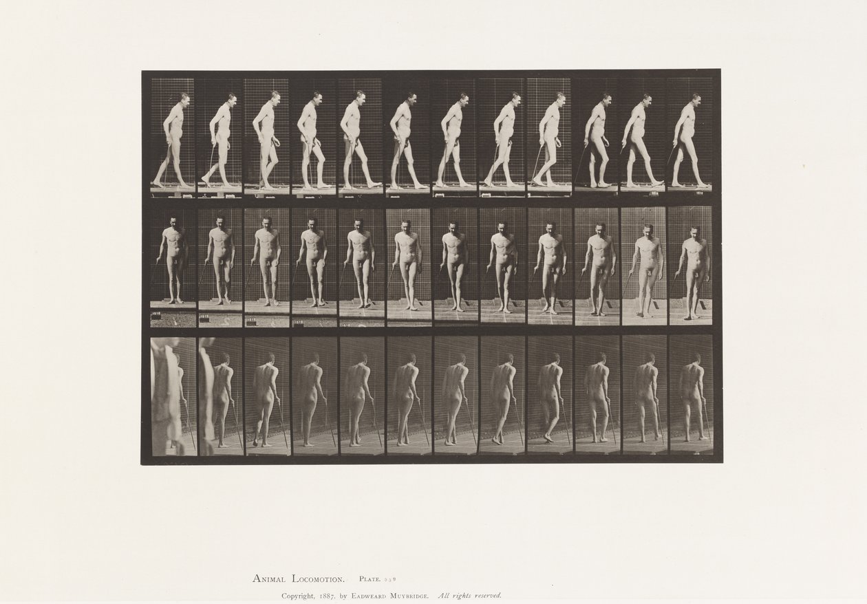 Tabliczka 559. Stwardnienie rozsiane; Spacer z laską autorstwa Eadweard Muybridge