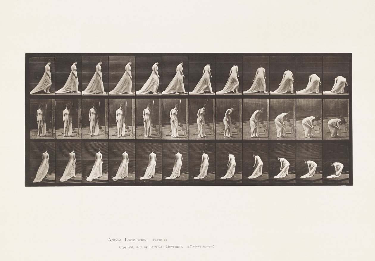 Płyta 56. Chodzenie, skręcanie i pochylanie się, aby podnieść pociąg autorstwa Eadweard Muybridge