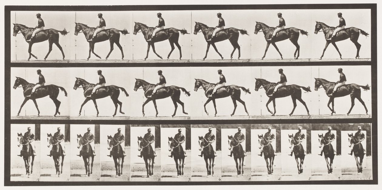 Płyta 580.Chodzenie; Siodło; Koń pełnej krwi angielskiej klacz Annie G., 1885 autorstwa Eadweard Muybridge