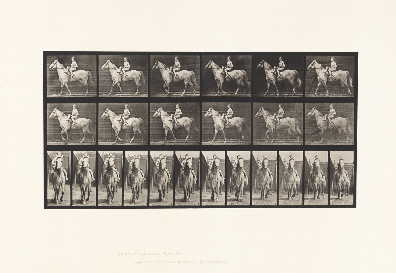 Płyta 583.Chodzenie; Siodło; Kobieta Jeździec; Nagi; Szary koński opal, 1885 autorstwa Eadweard Muybridge