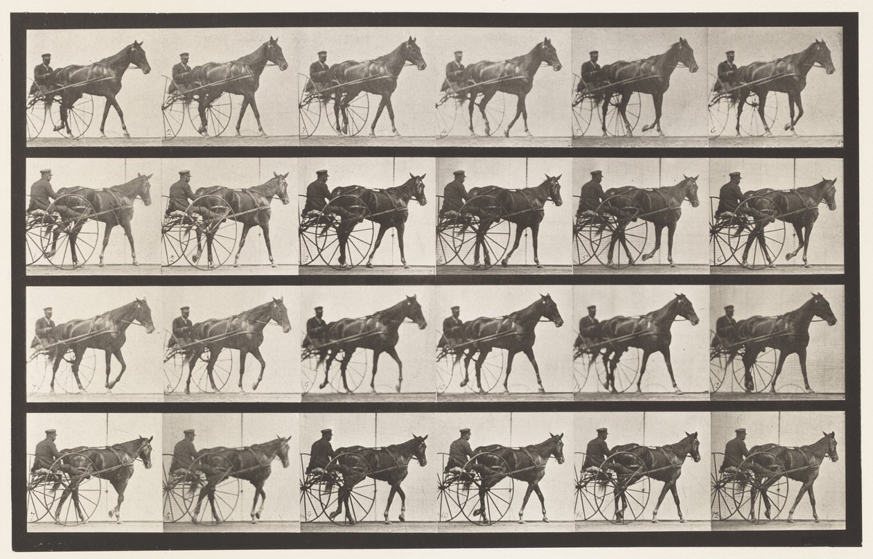 Płyta 587.Chodzenie; Nadąsany; szczaw klacz Nellie Rose, 1885 autorstwa Eadweard Muybridge