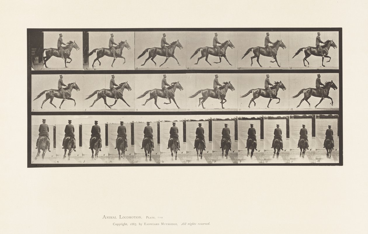 Płyta 592. Kołysanie (stymulacja): Siodło; Brązowy koń Pronto autorstwa Eadweard Muybridge