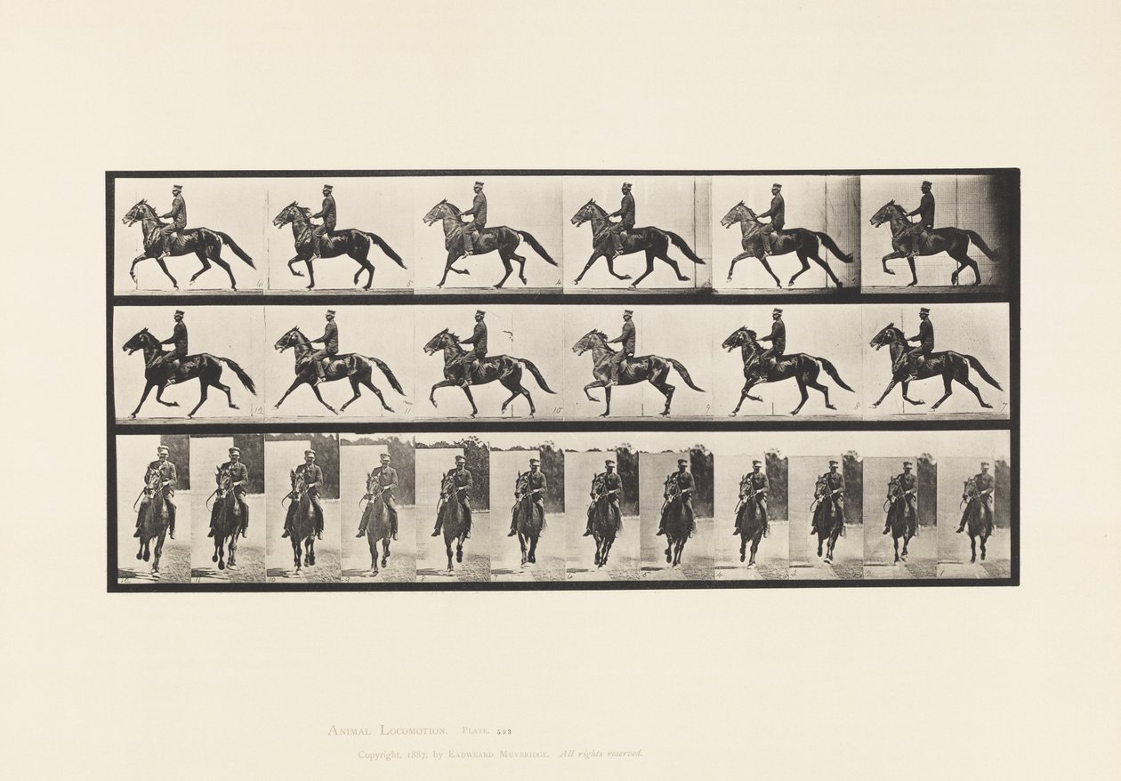Płyta 593. Kołysanie (stymulacja): Siodło; Brązowy koń Pronto autorstwa Eadweard Muybridge
