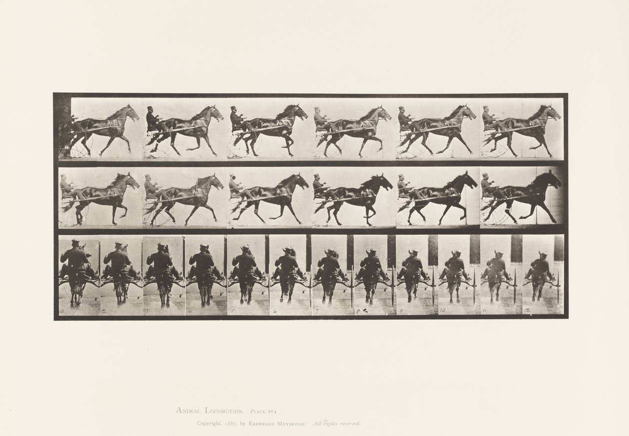 Płyta 594. Kołysanie (stymulacja): Sulky; Brązowy koń Pronto autorstwa Eadweard Muybridge