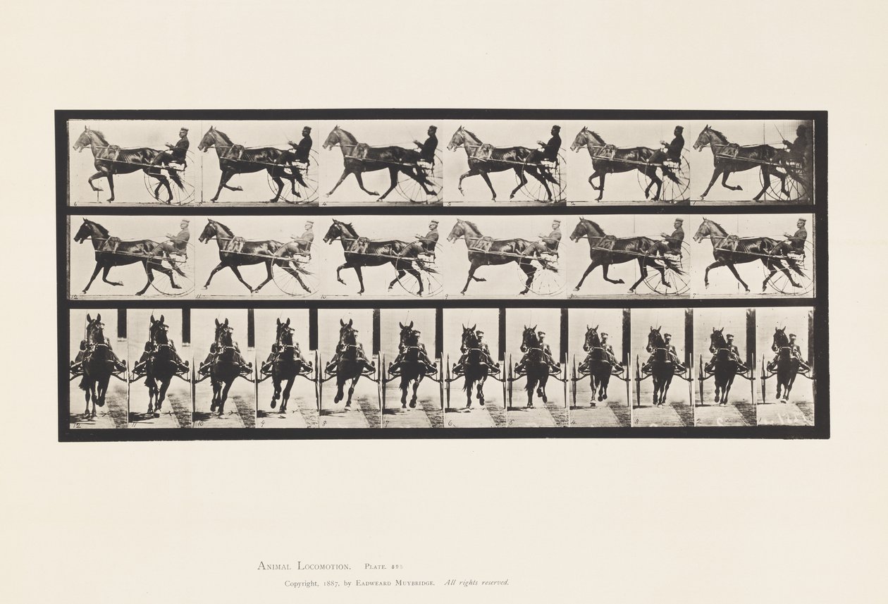 Płyta 595. Kołysanie (stymulacja): Sulky; Brązowy koń Pronto autorstwa Eadweard Muybridge