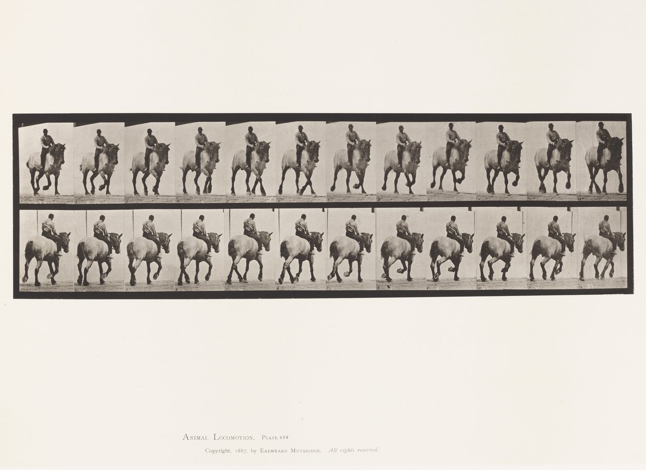 Płyta 599. Kłus; Oklep; Ciemnoszary Dusel autorstwa Eadweard Muybridge