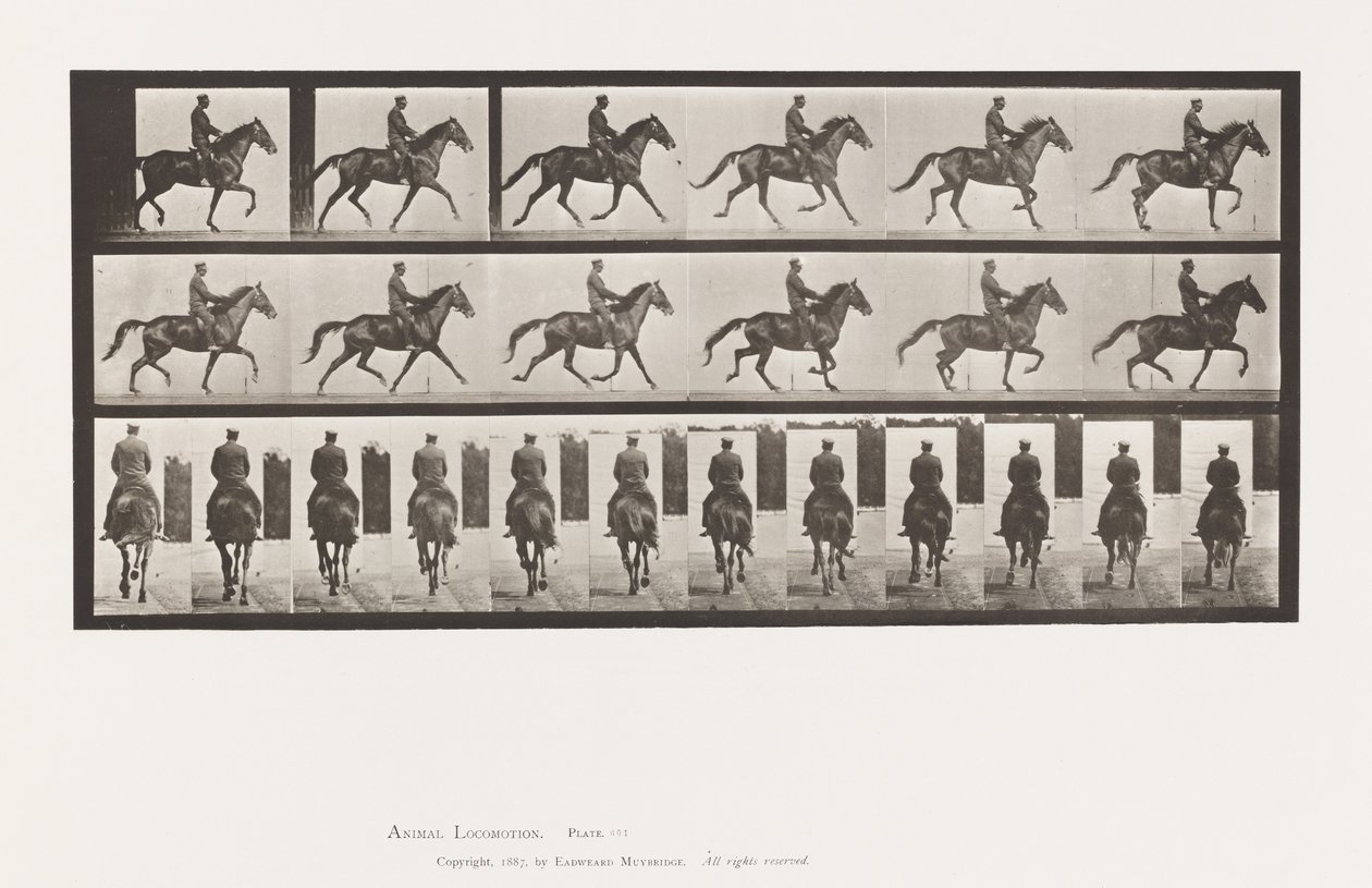 Płyta 601. Kłus; Siodło; Brązowa klacz piękność autorstwa Eadweard Muybridge