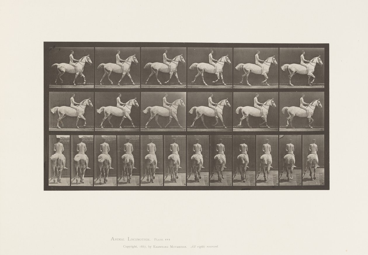 Płyta 602.Kłus;Na oklep; Jeździec,43,Nude;Jasnoszary Koń Smith, 1885 autorstwa Eadweard Muybridge