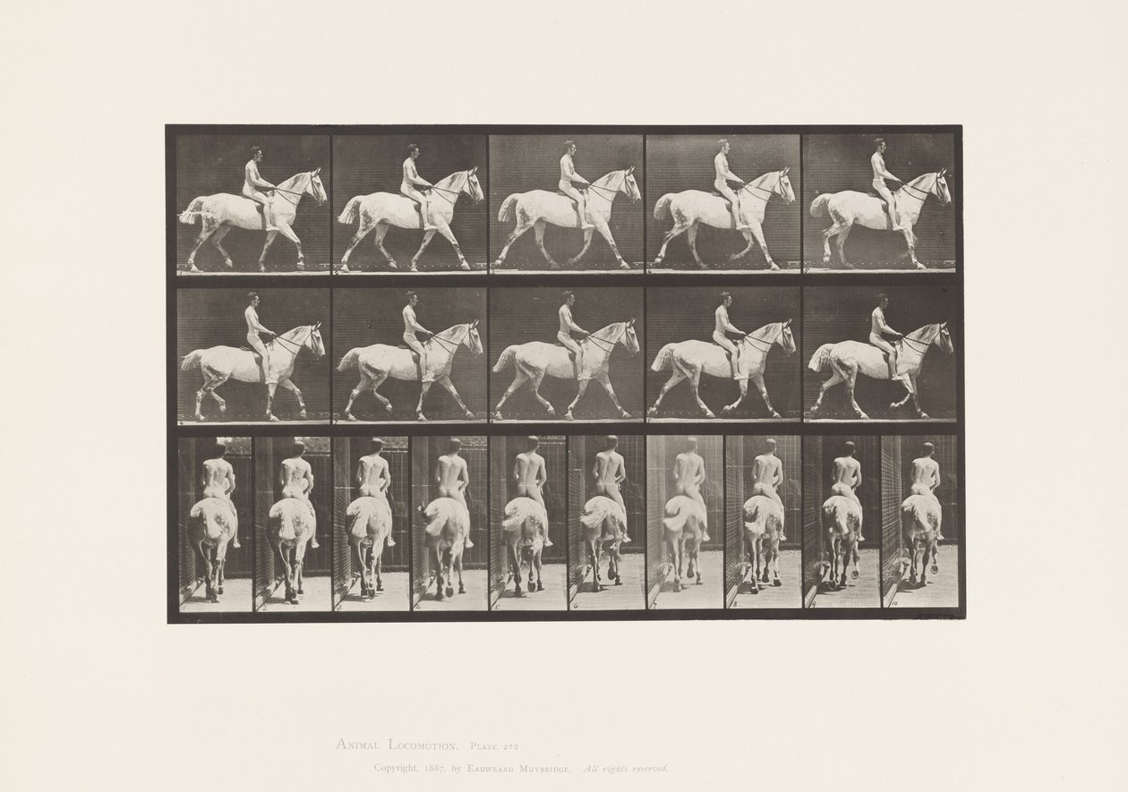 Płyta 603. Kłus; Siodło; Jazda, 43, szeroki, jasnoszary koń Smith autorstwa Eadweard Muybridge