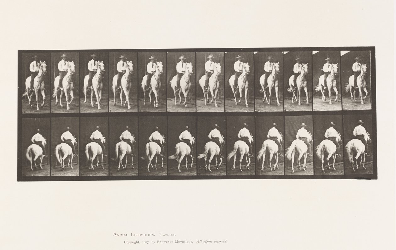 Płyta 604. Kłus; Siodło; Biały Koń, Elberon autorstwa Eadweard Muybridge