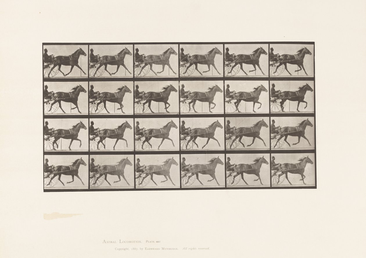 Płyta 607. Kłus; Nadąsany; Gniada Klacz, Lizzie M. autorstwa Eadweard Muybridge