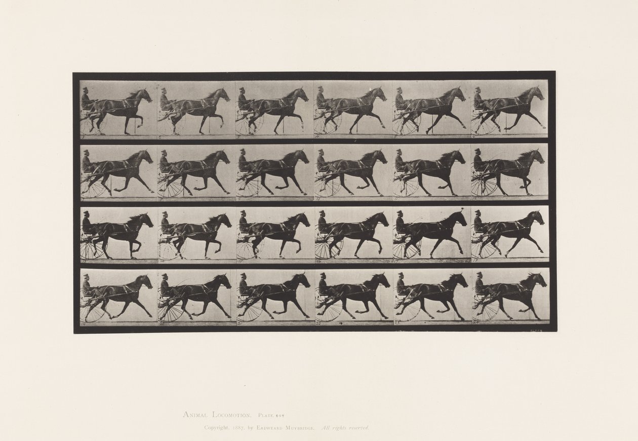 Płyta 608. Kłus; Nadąsany; Klacz szczawiowa, Flode Holden autorstwa Eadweard Muybridge