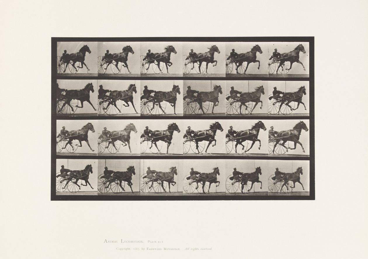 Płyta 613. Kłus; Nadąsany; szczaw klacz Nellie róża autorstwa Eadweard Muybridge