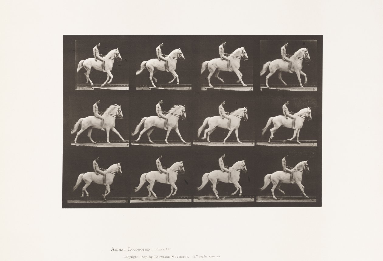 Płyta 617. Galop; Oklep; Jeździec, 106, Nude; Biały Koń Clinton, 1885 autorstwa Eadweard Muybridge