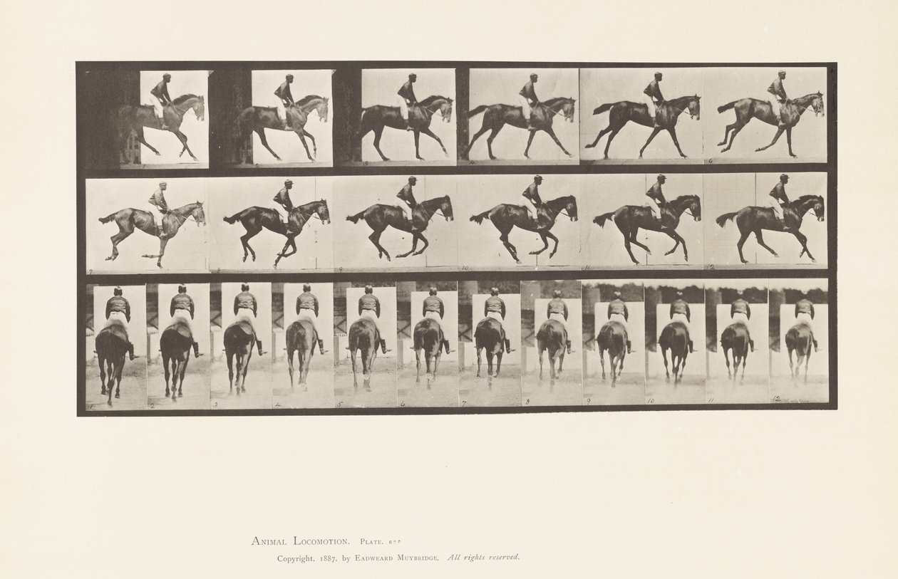 Płyta 620. Galop; Siodło; Koń pełnej krwi angielskiej klacz Annie 6. autorstwa Eadweard Muybridge
