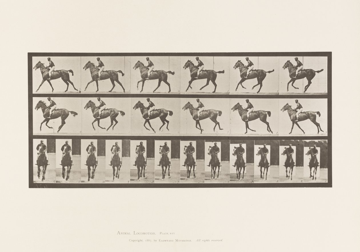 Płyta 621. Galop; Siodło; Koń pełnej krwi angielskiej klacz Annie 6 autorstwa Eadweard Muybridge