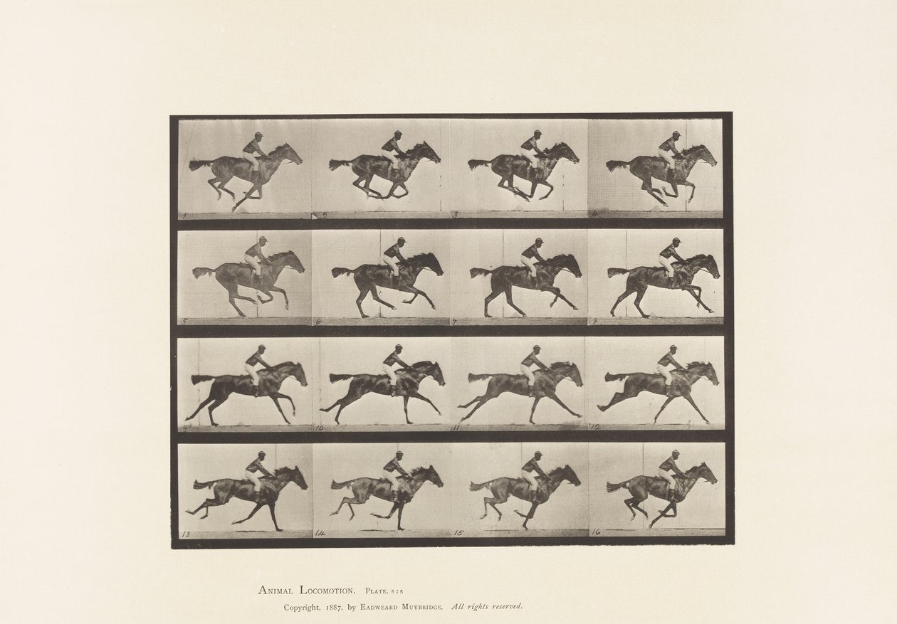 Płyta 626. Galop; Koń pełnej krwi angielskiej klacz Annie G. autorstwa Eadweard Muybridge