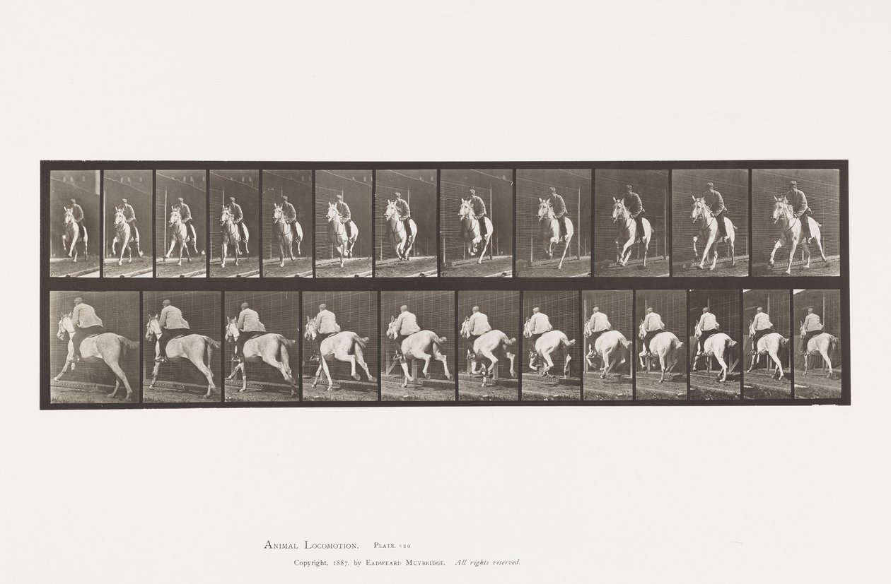 Płyta 630. Galop; Siodło; Siwa klacz Pandora autorstwa Eadweard Muybridge