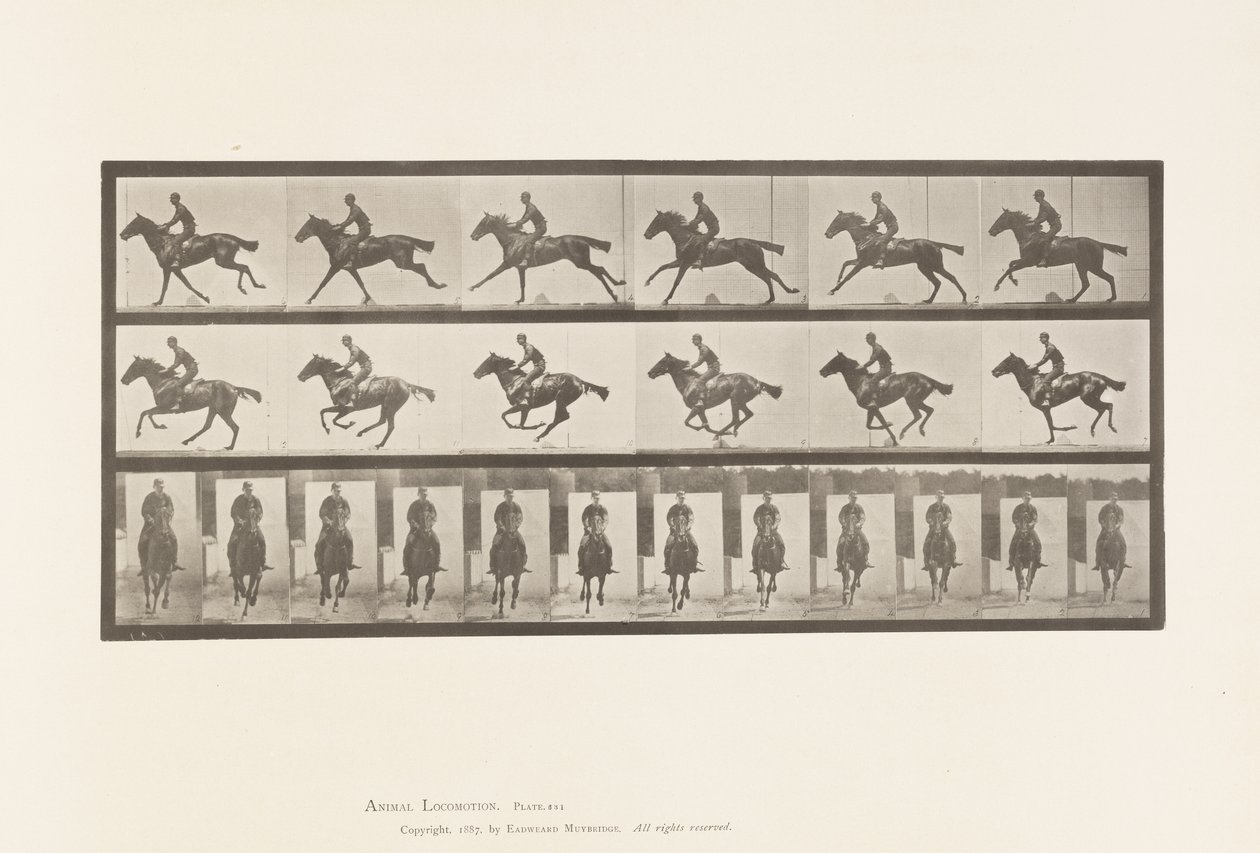 Płyta 631. Galop; Siodło; Bukiet koni pełnej krwi angielskiej autorstwa Eadweard Muybridge