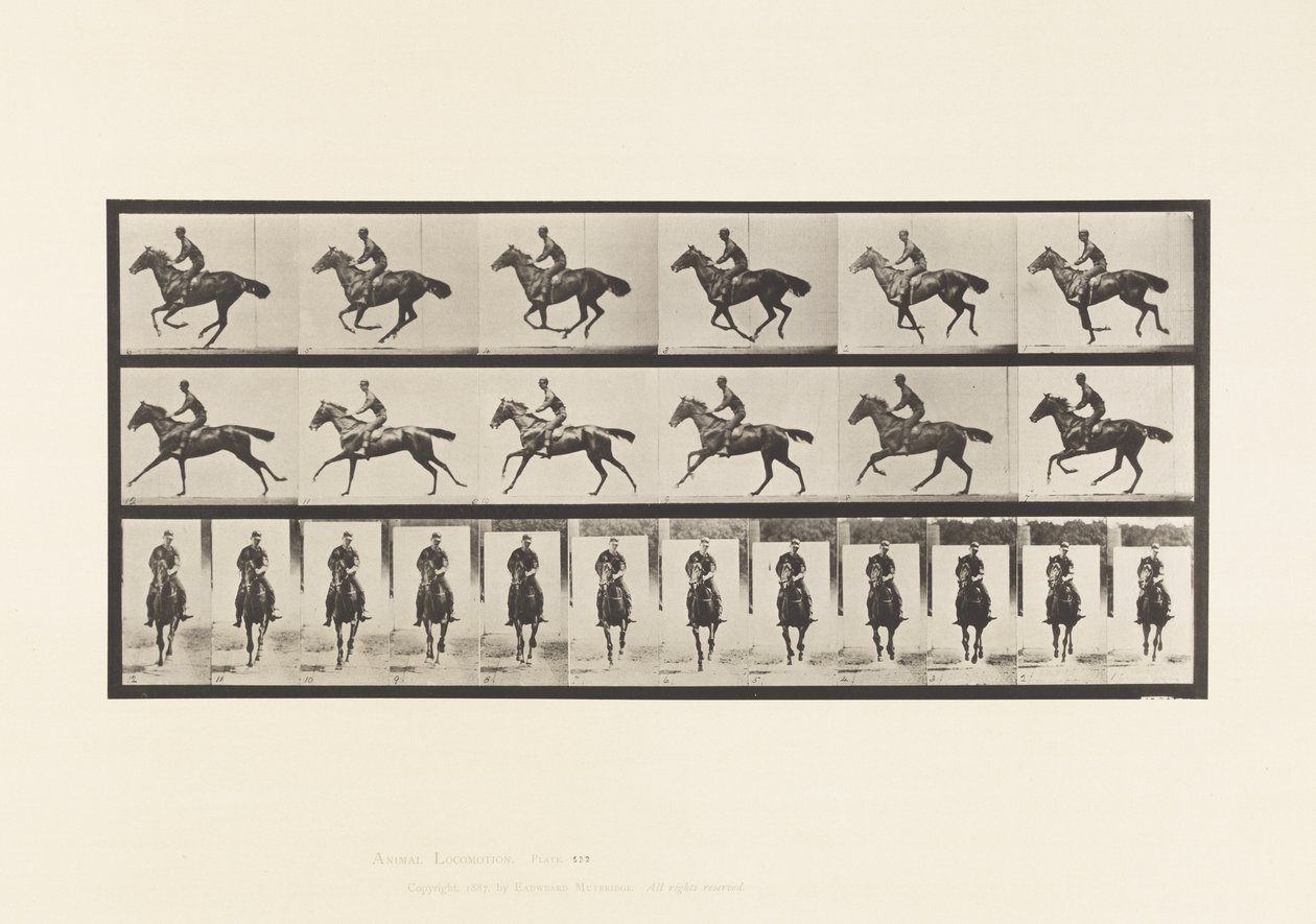 Płyta 632. Galop; Siodło; Bukiet koni pełnej krwi angielskiej autorstwa Eadweard Muybridge