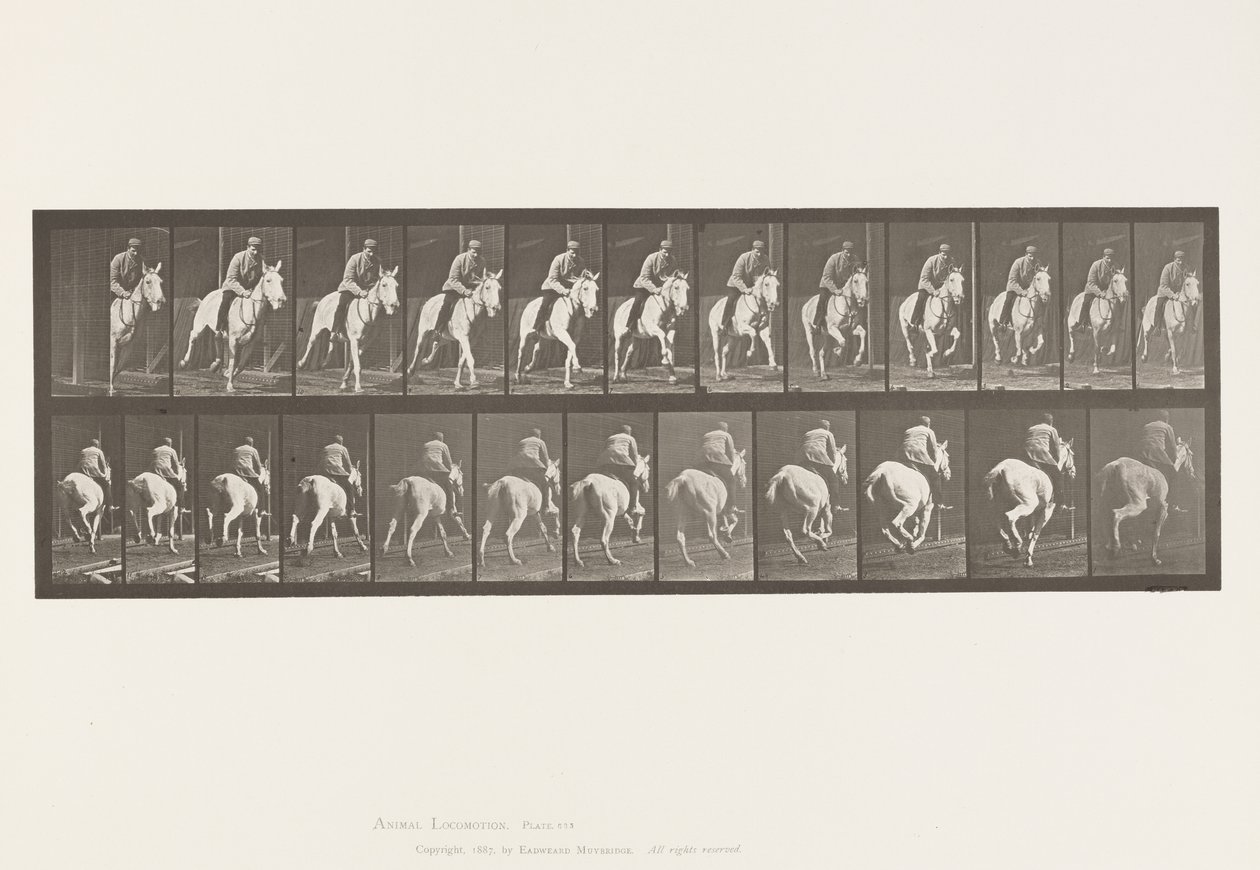 Płyta 635. Galop; Siodło; Siwa Klacz, Pandora autorstwa Eadweard Muybridge